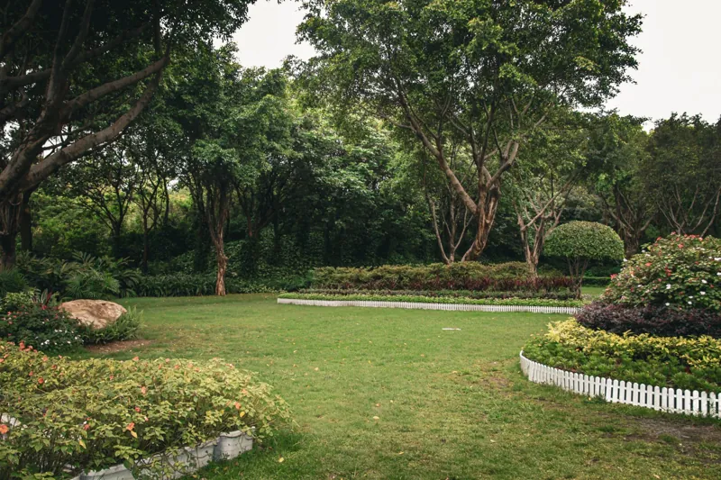 Healthy green lawn bordered by maintained planting beds